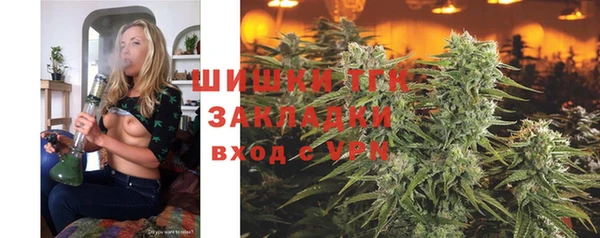 гидропоника Алзамай