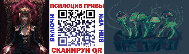 мега ссылка Пласт Галлюциногенные грибы мицелий